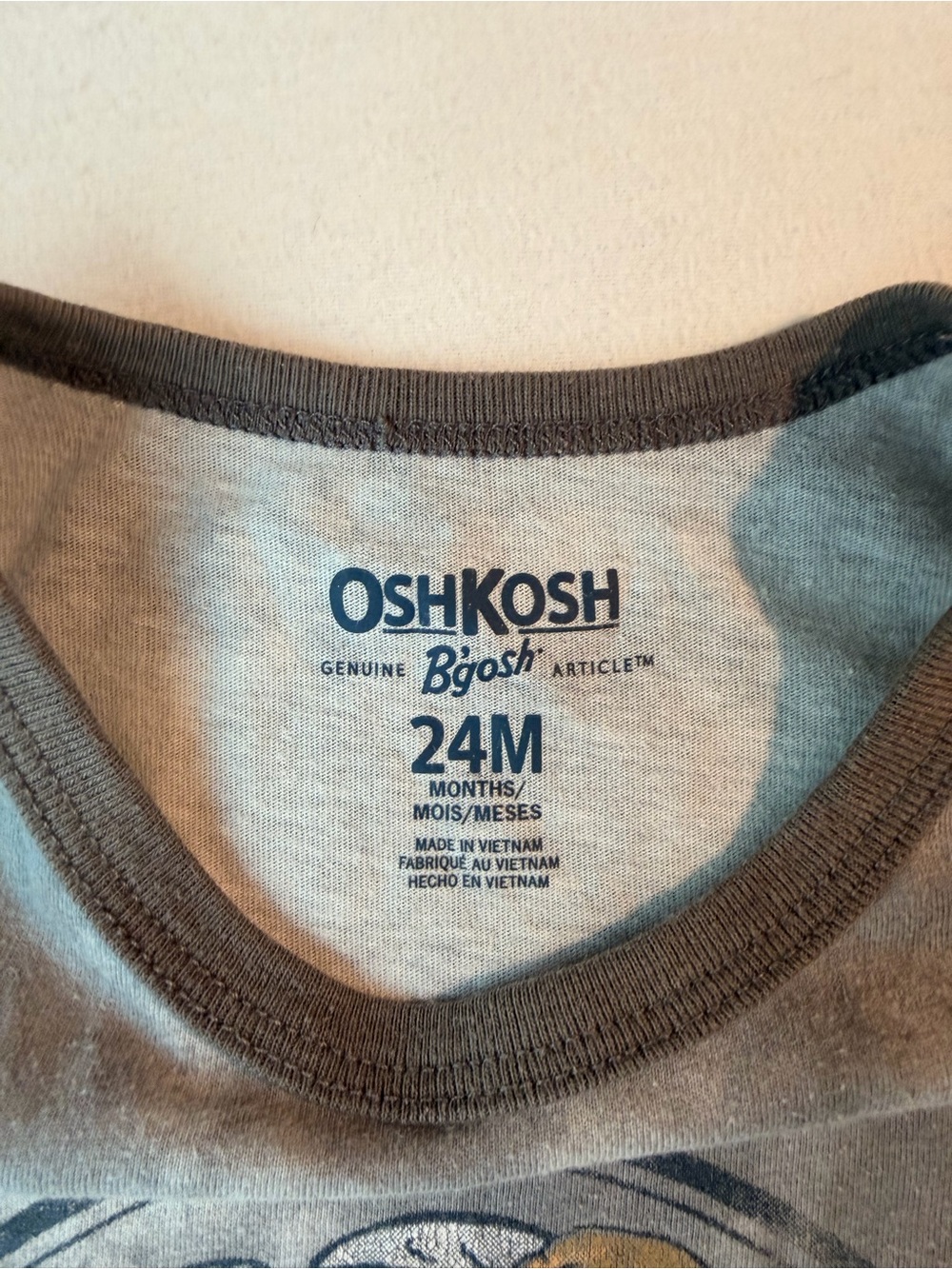 OshKosh B'gosh Gray Tank Top with Surf Dinosaur Graphic - Picture 2 of 6